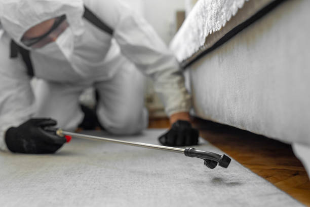 Professional Bed Bug Control technician working in Rabun County County, GA